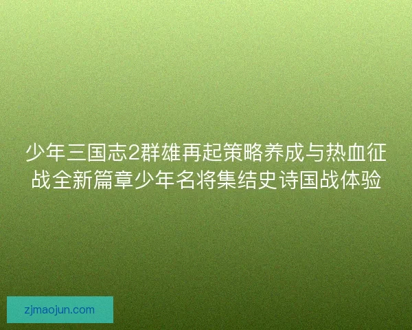 少年三国志2群雄再起策略养成与热血征战全新篇章少年名将集结史诗国战体验